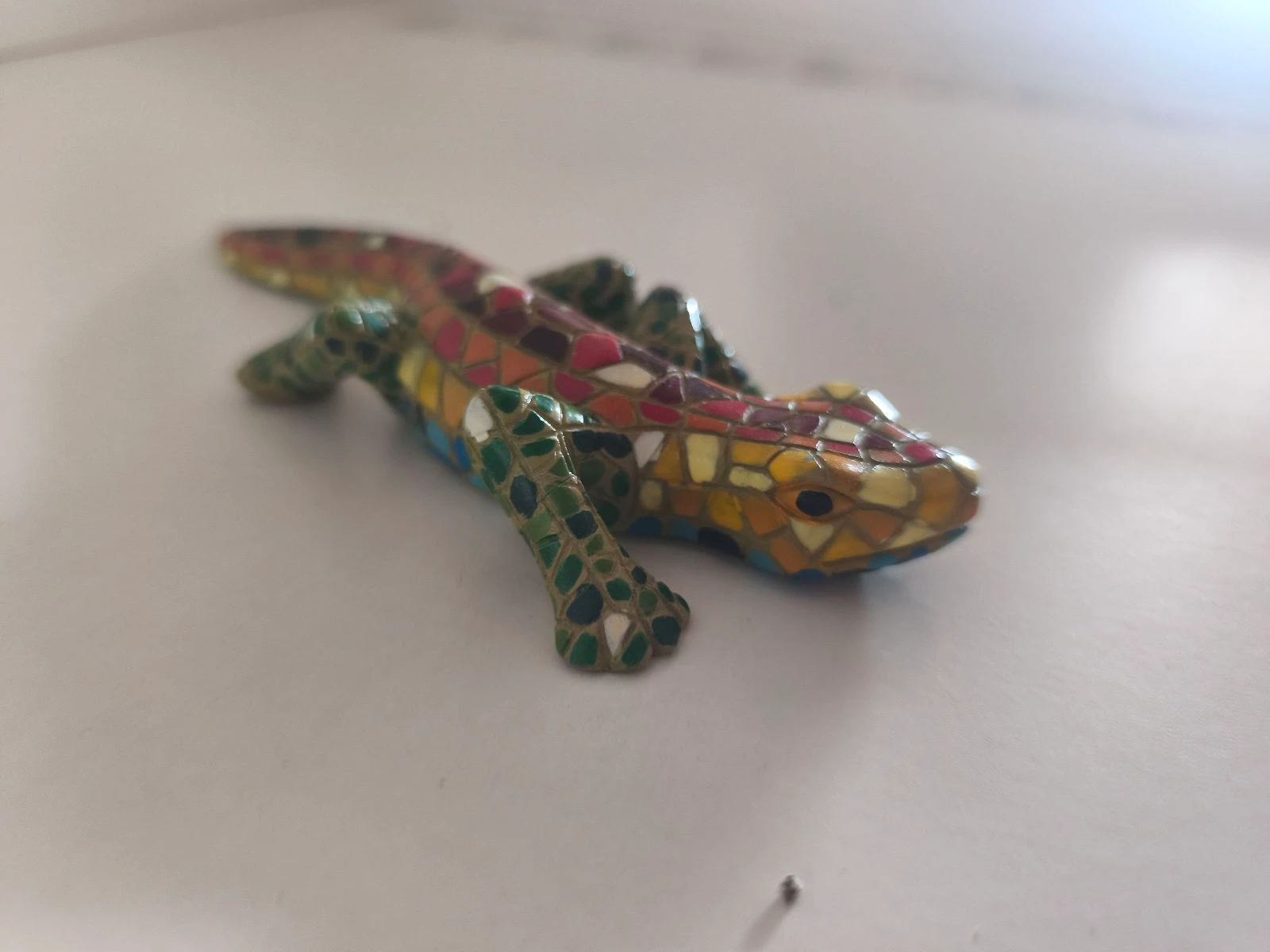 Salamandra em mosaico – photo 5